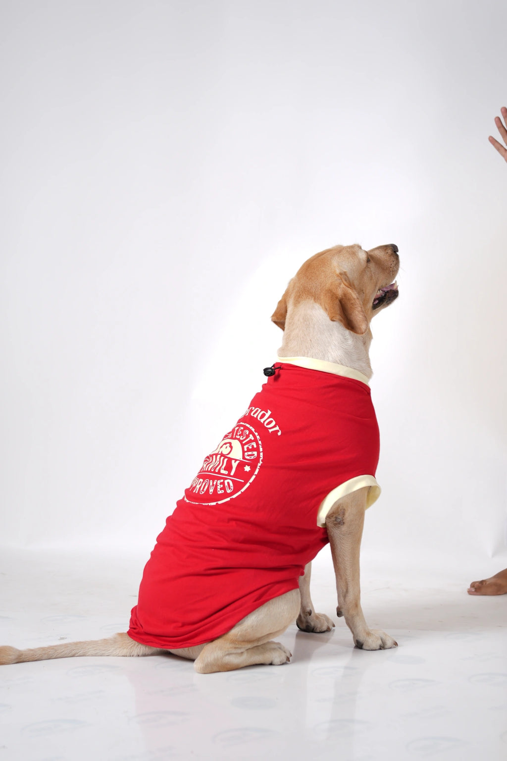 Thunder Tails LABRADOR Adjustable Graphic T-shirt