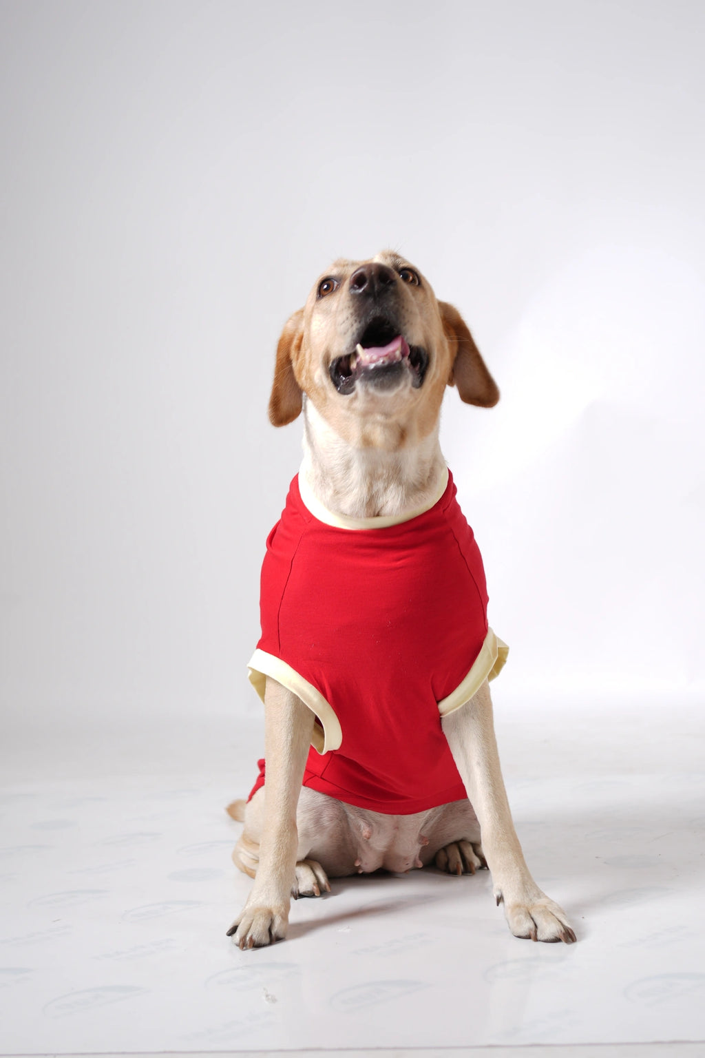 Thunder Tails LABRADOR Adjustable Graphic T-shirt