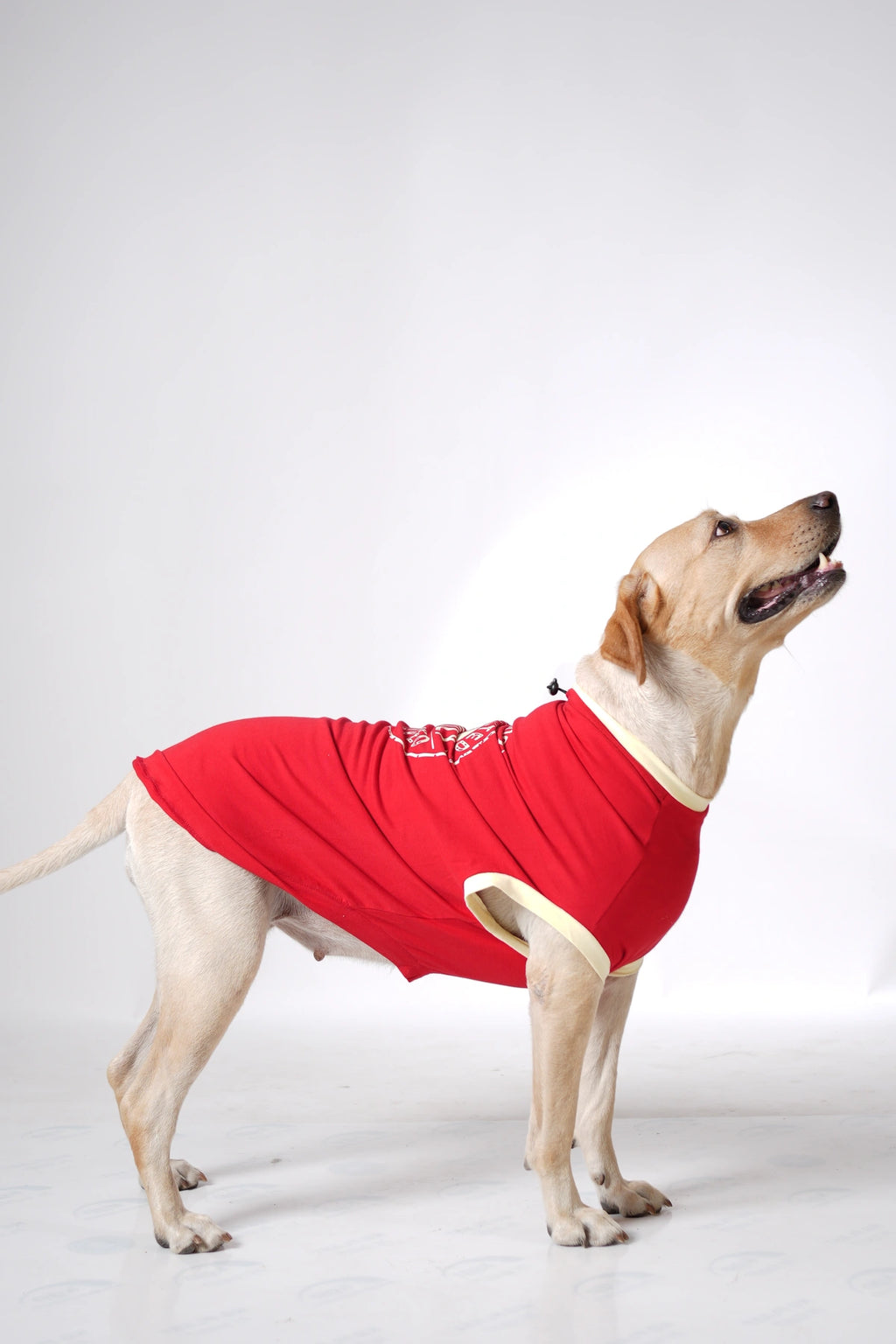 Thunder Tails LABRADOR Adjustable Graphic T-shirt