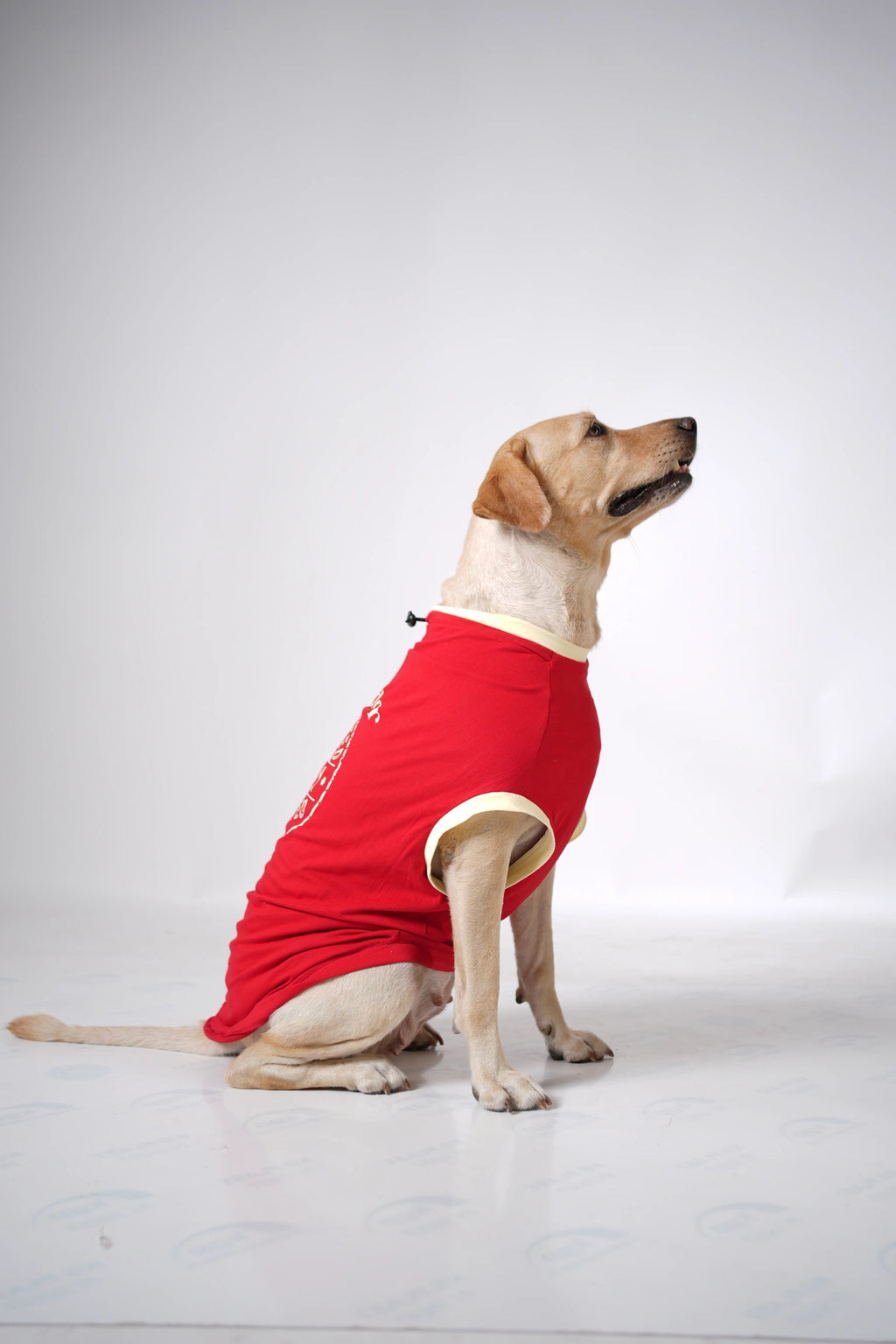 Thunder Tails LABRADOR Adjustable Graphic T-shirt