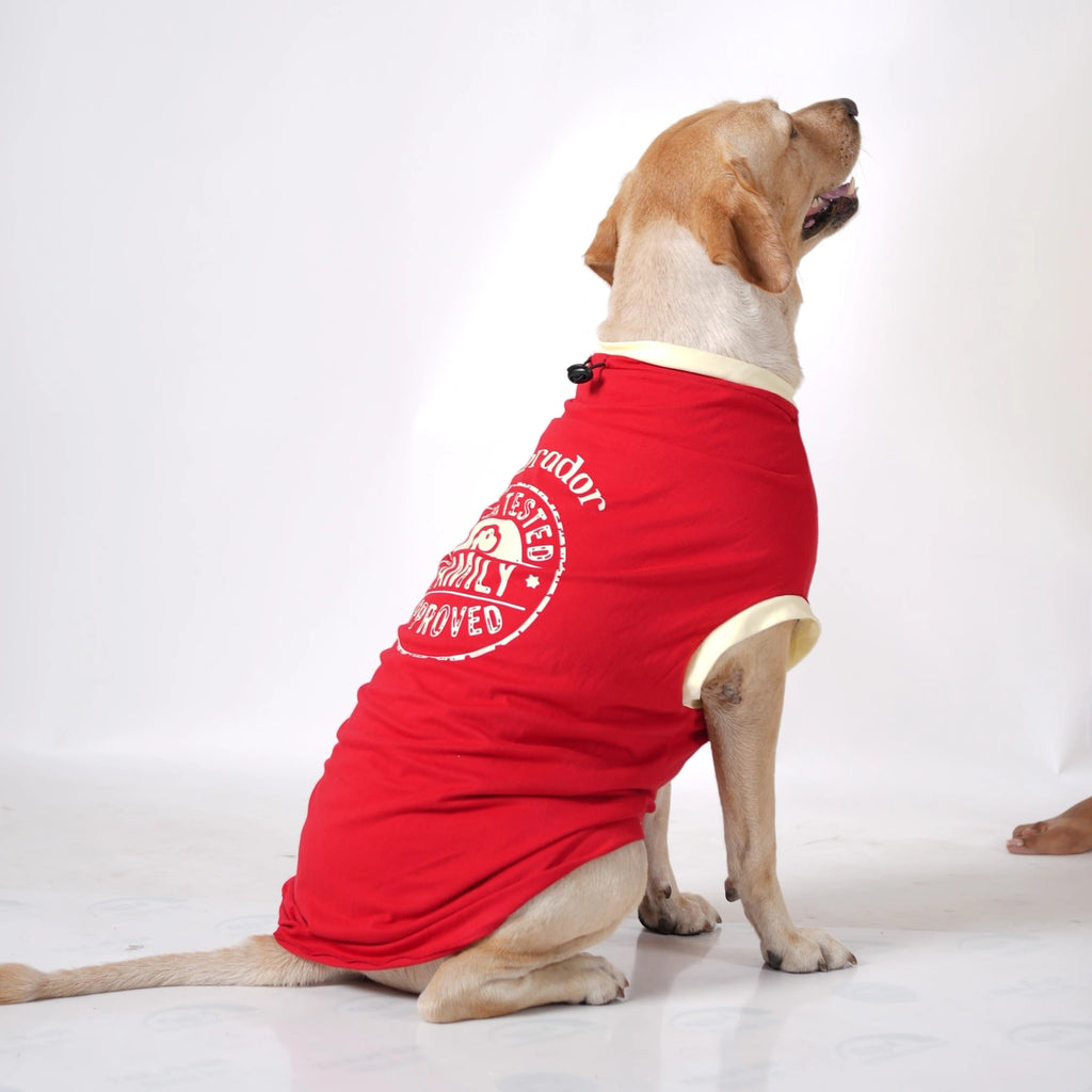 Thunder Tails LABRADOR Adjustable Graphic T-shirt