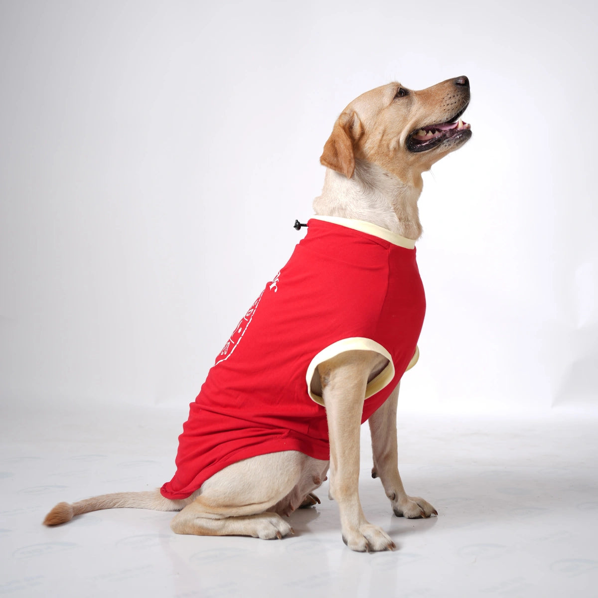Thunder Tails LABRADOR Adjustable Graphic T-shirt
