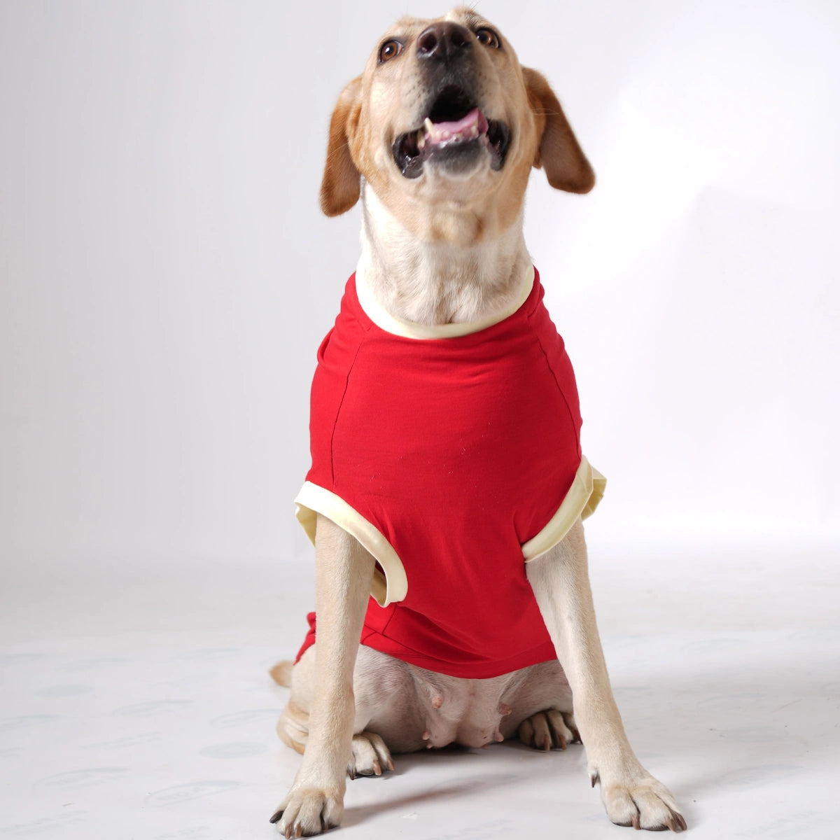 Thunder Tails LABRADOR Adjustable Graphic T-shirt
