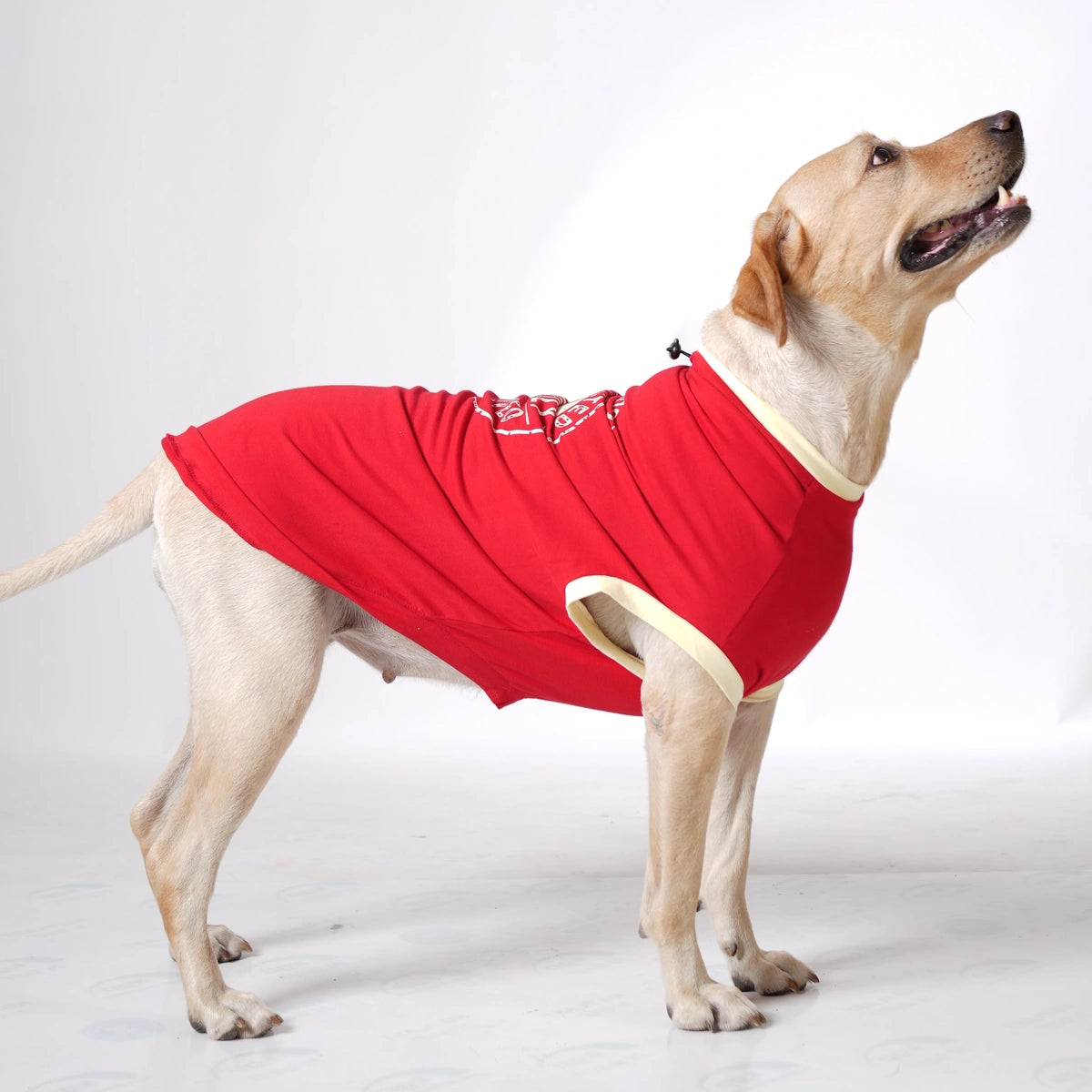 Thunder Tails LABRADOR Adjustable Graphic T-shirt