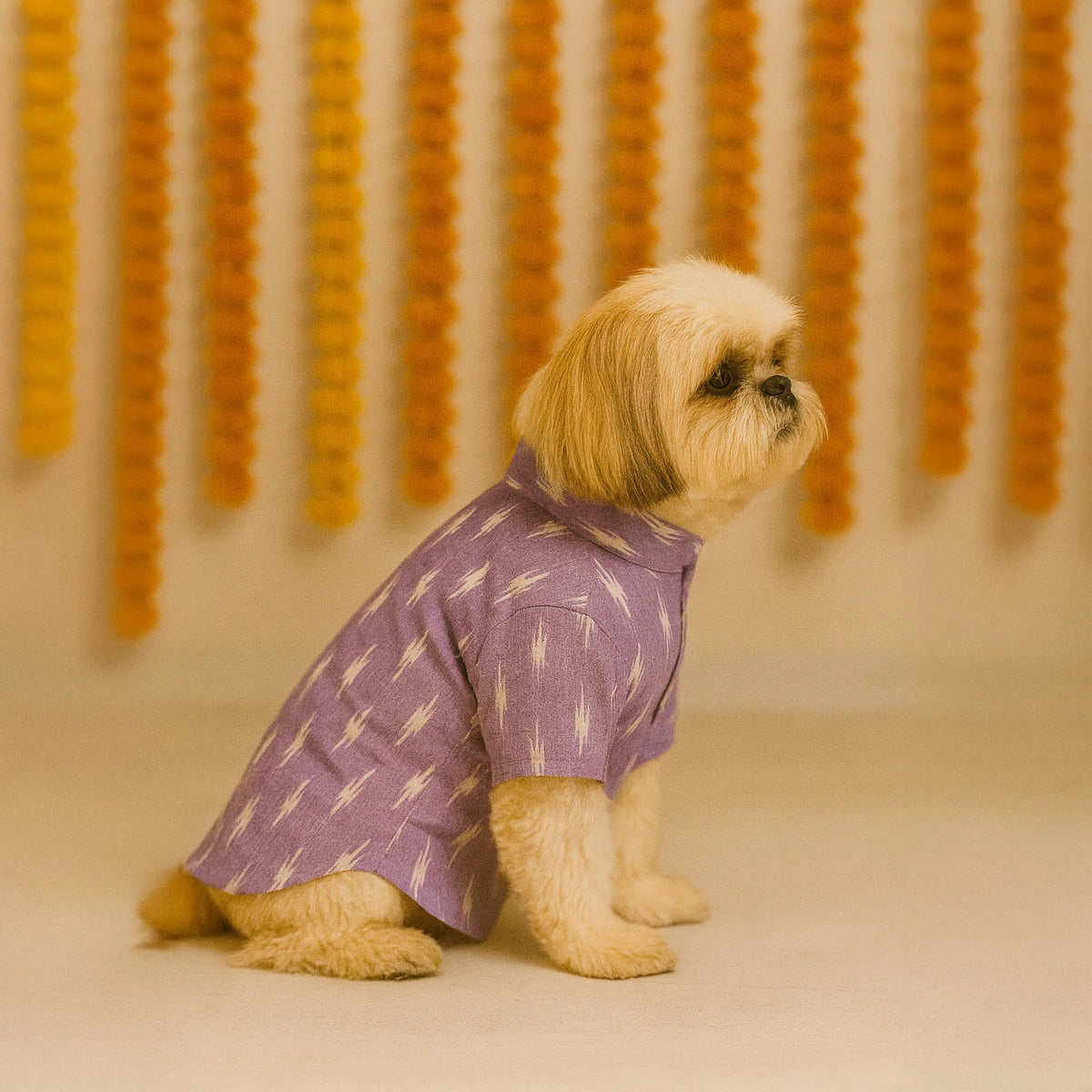 Thunder Tails Lavender Festive Kurta