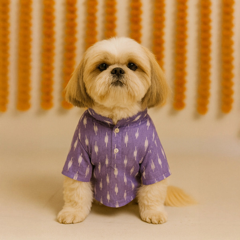 Thunder Tails Lavender Festive Kurta