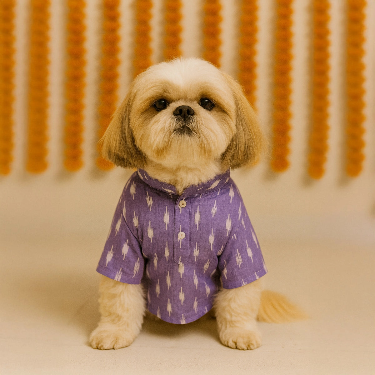Thunder Tails Lavender Festive Kurta