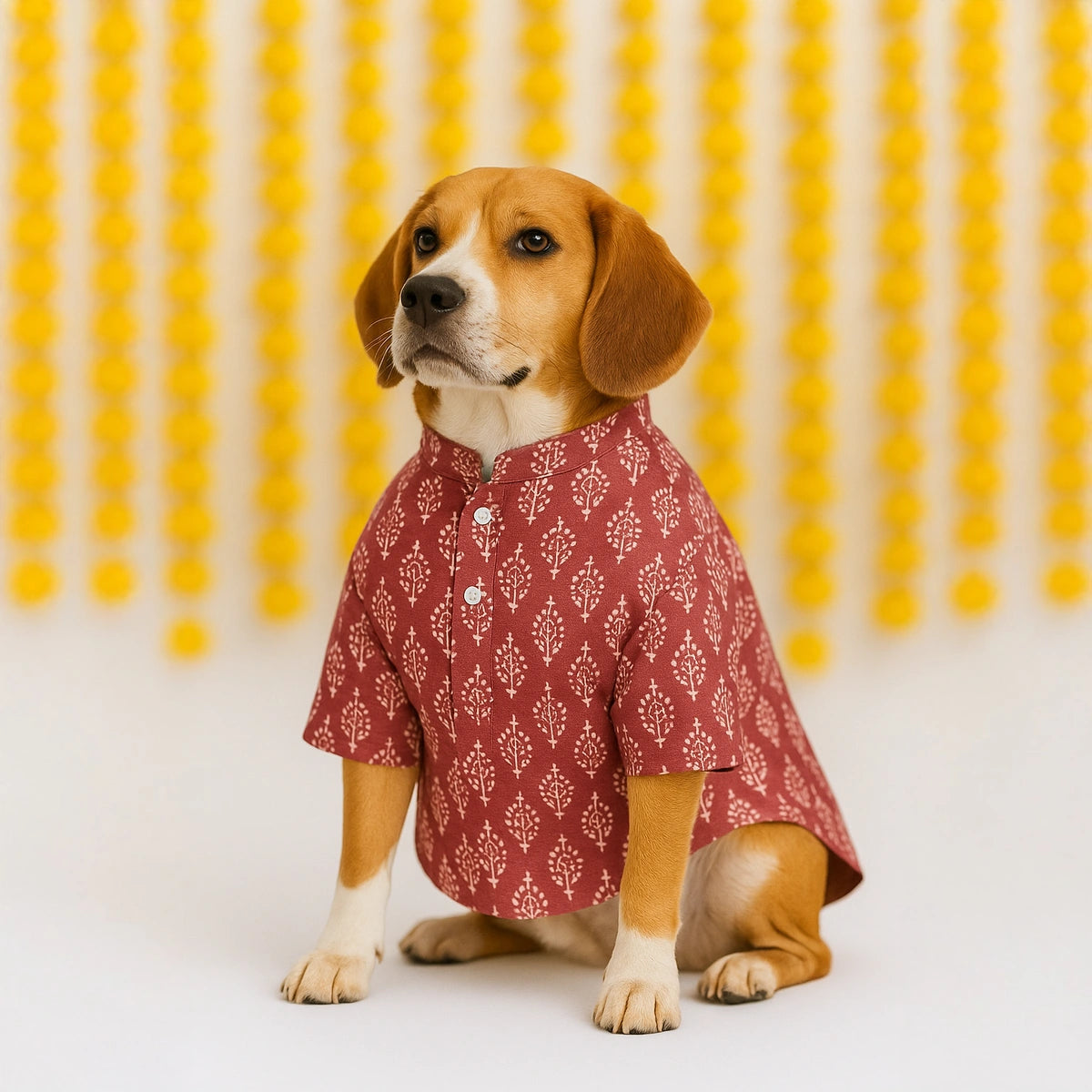 Thunder Tails Mauve Festive Kurta