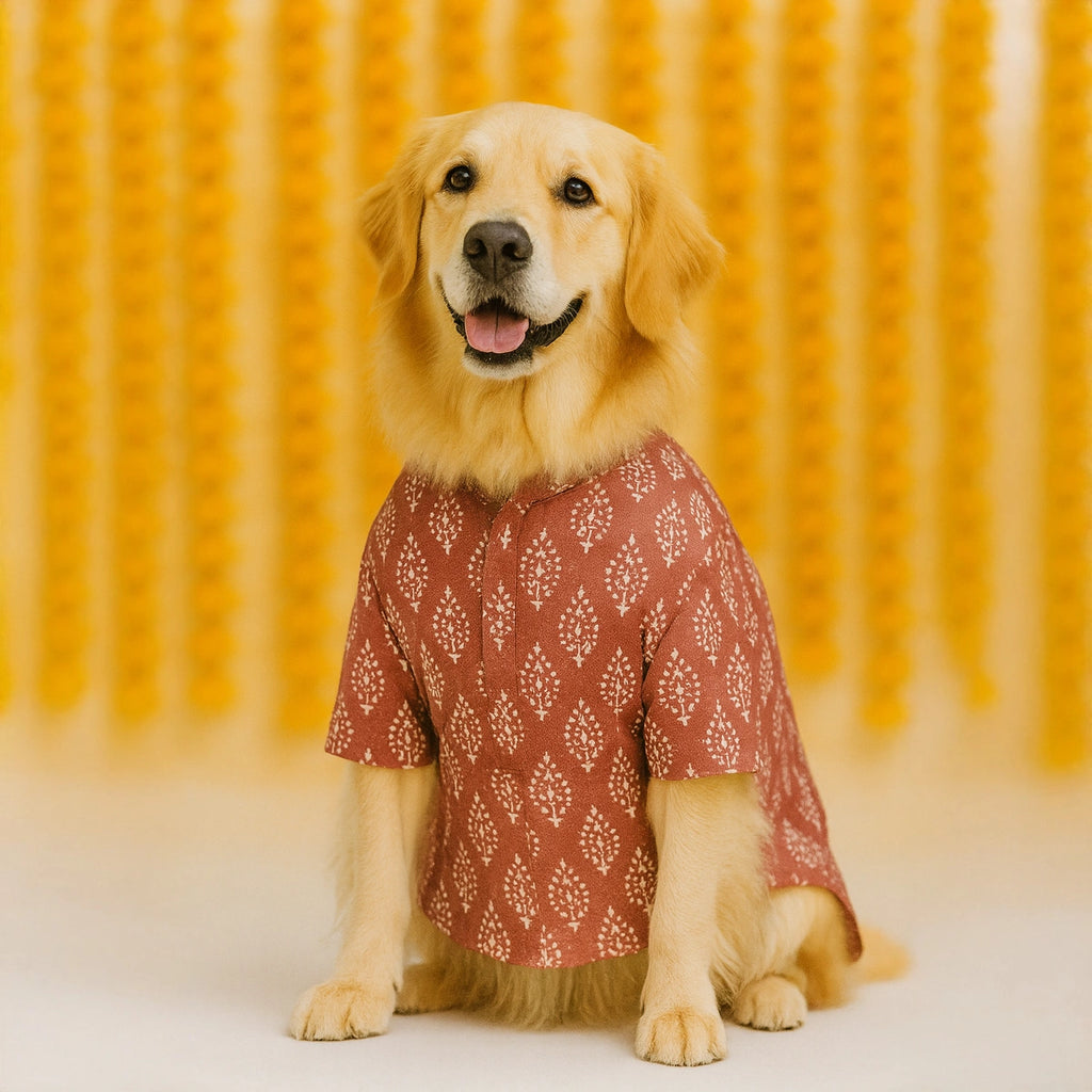 Thunder Tails Mauve Festive Kurta