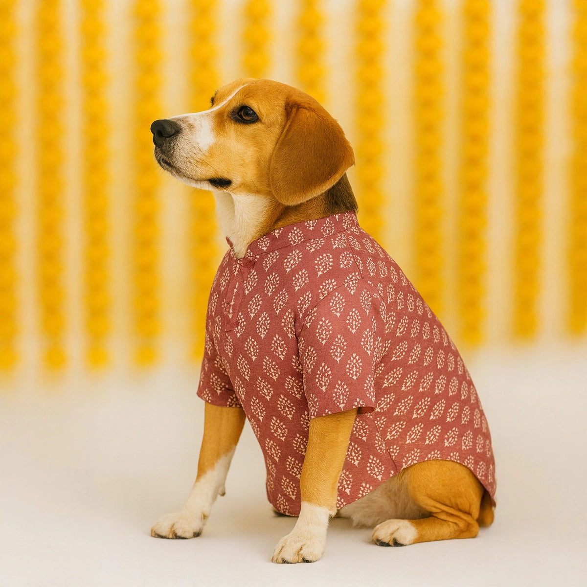 Thunder Tails Mauve Festive Kurta