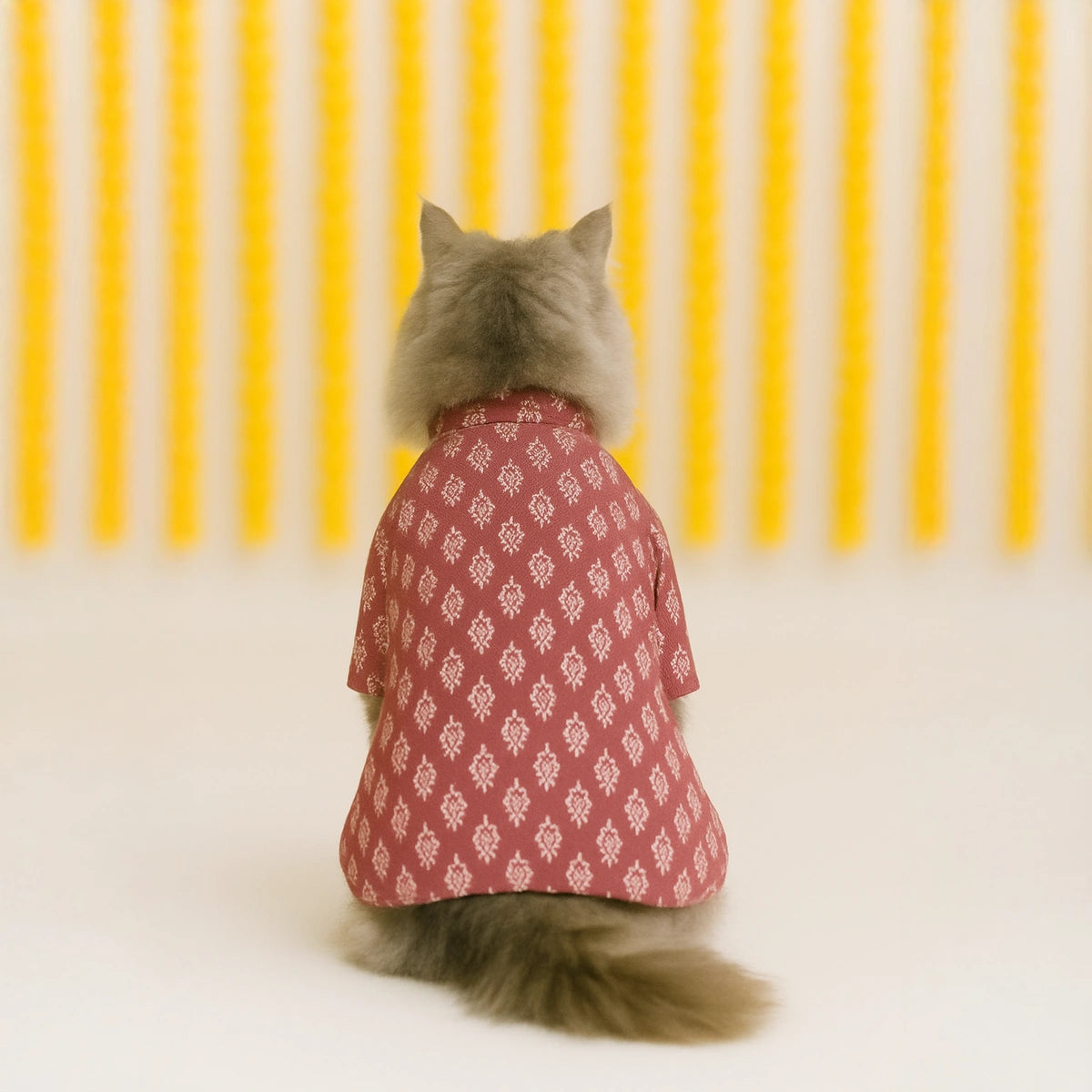 Thunder Tails Mauve Cat Festive Kurta