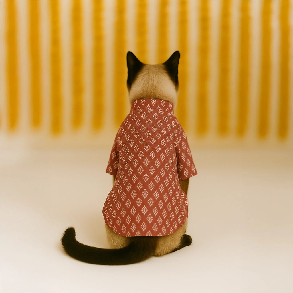 Thunder Tails Mauve Cat Festive Kurta