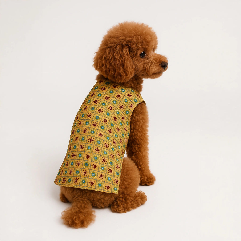 Thunder Tails Yellow Mirror Work Festive Sherwani