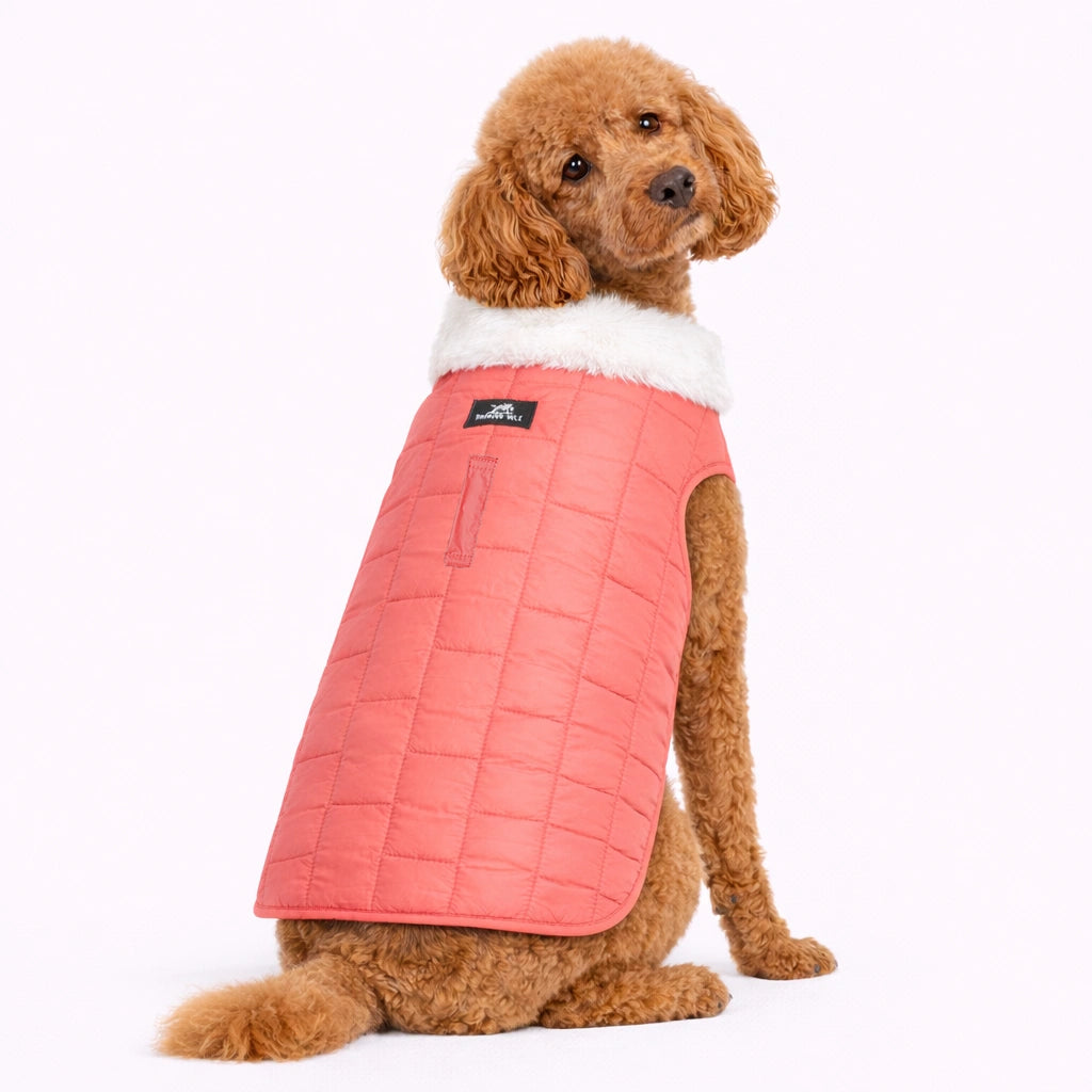 Thunder Tails MoonBrick 2.0 Jacket- Peach/Baby Blue