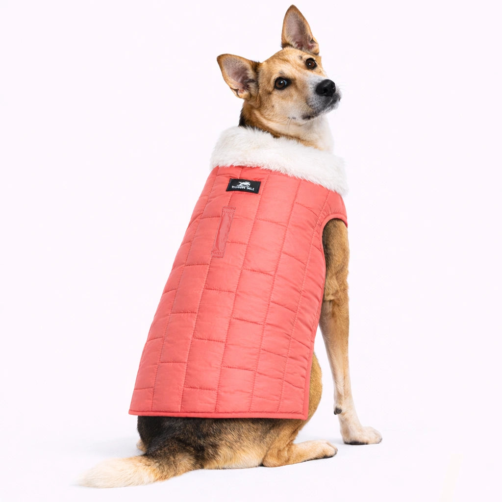 Thunder Tails MoonBrick 2.0 Jacket- Peach/Baby Blue