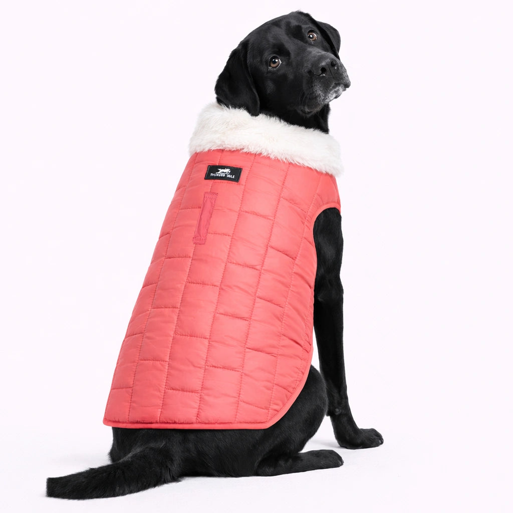 Thunder Tails MoonBrick 2.0 Jacket- Peach/Baby Blue