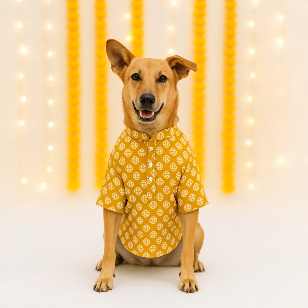 Thunder Tails Mustard Festive Kurta