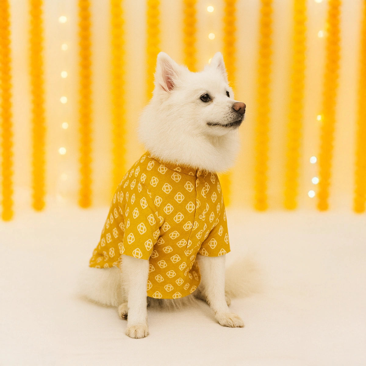 Thunder Tails Mustard Festive Kurta