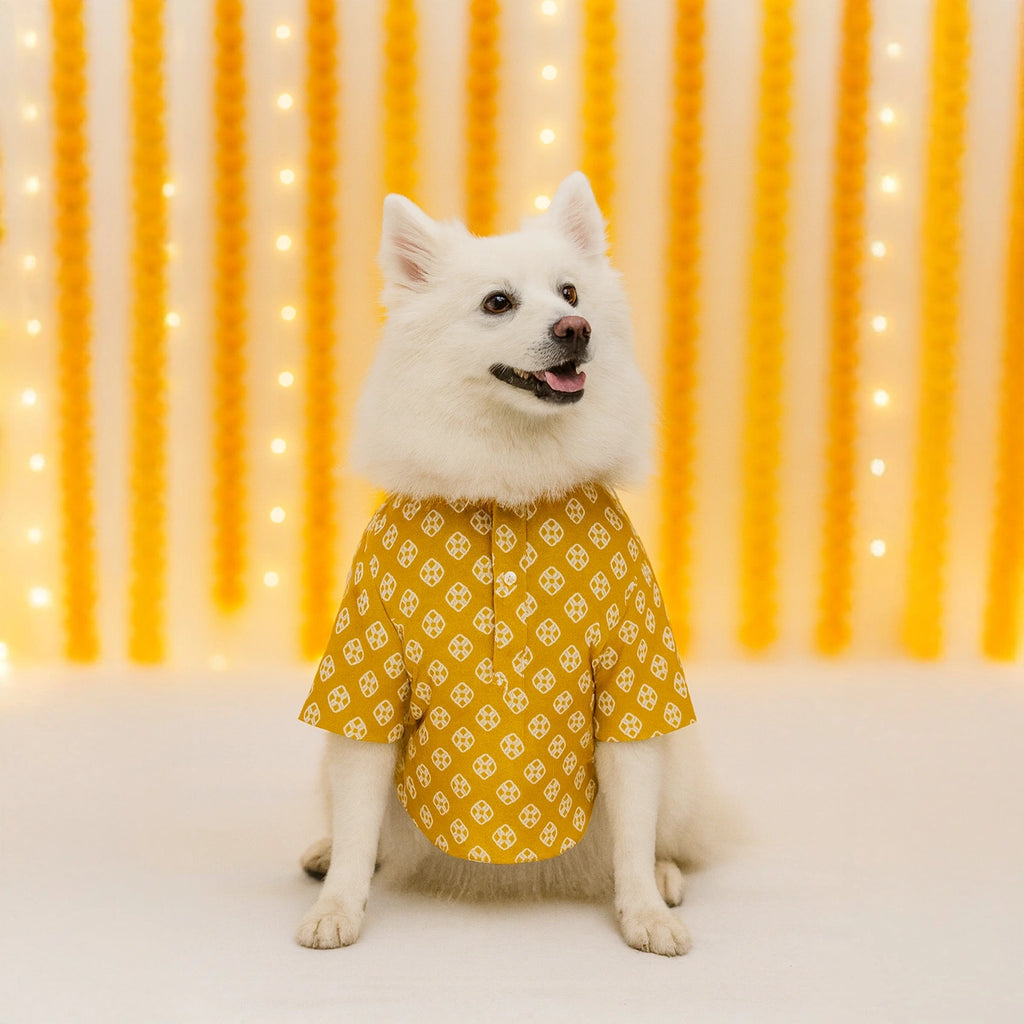 Thunder Tails Mustard Festive Kurta