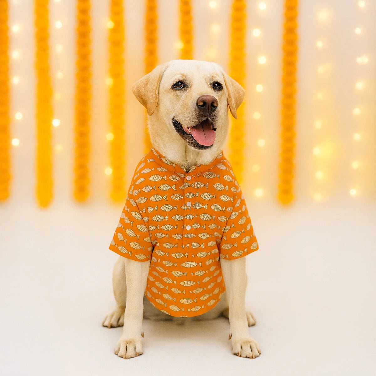 Thunder Tails Orange Festive Kurta
