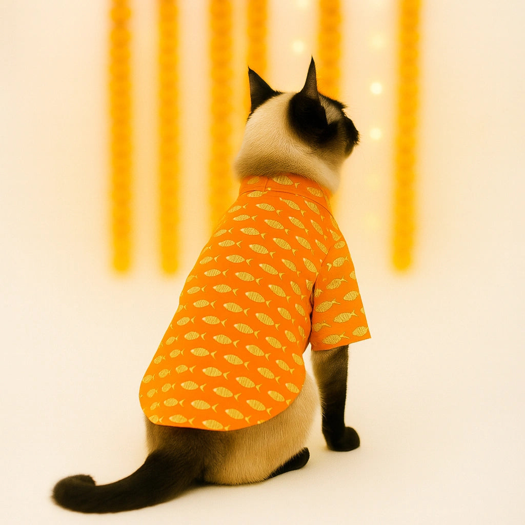 Thunder Tails Orange Cat Festive Kurta