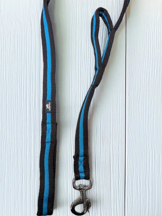 Teal/Brown