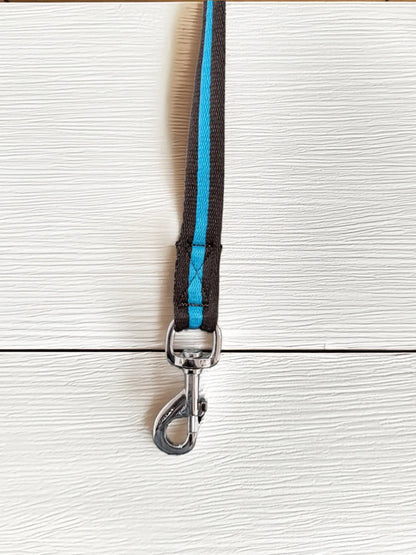 Teal/Brown