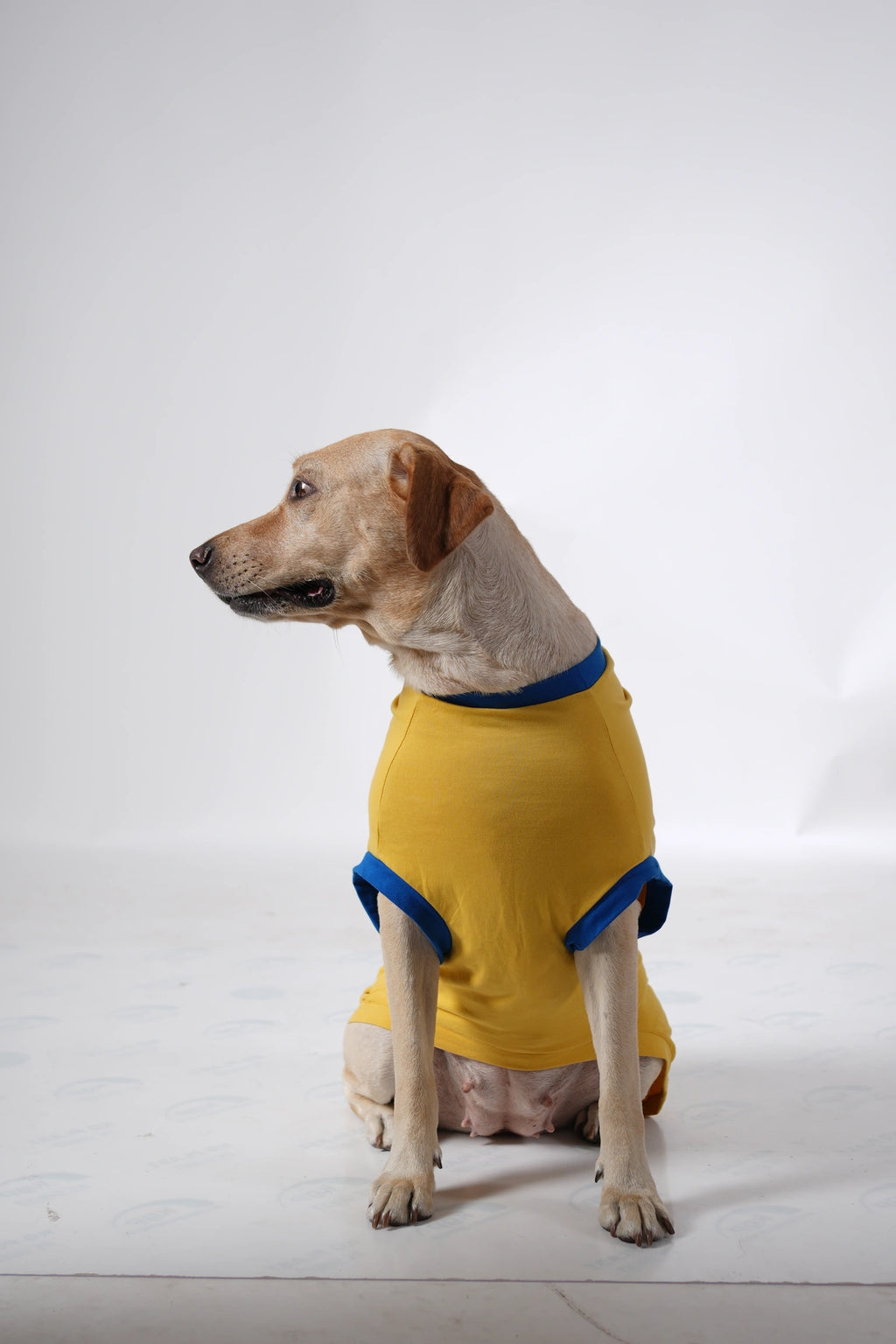 Thunder Tails PAWSOME HERO Adjustable Graphic T-shirt