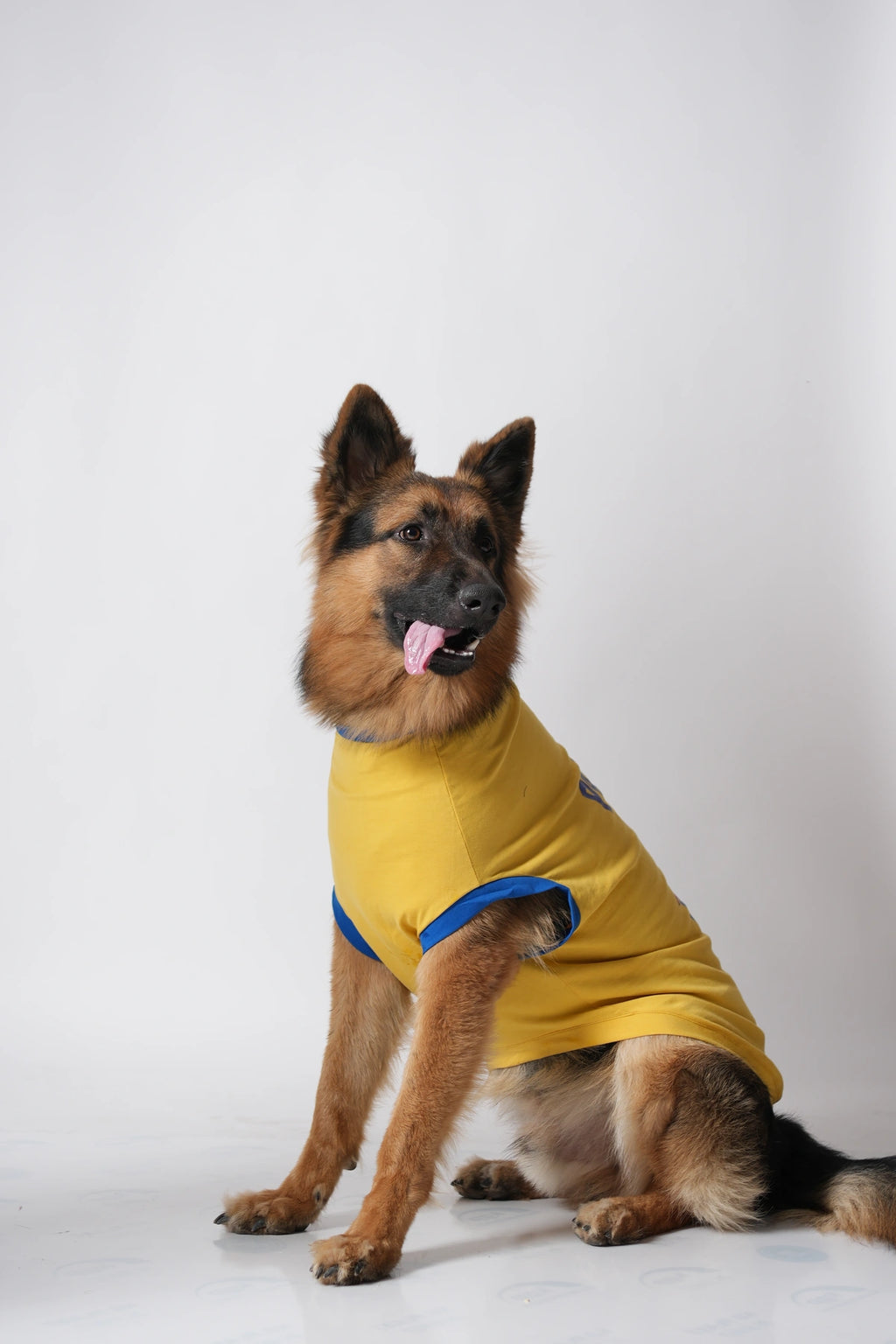 Thunder Tails PAWSOME HERO Adjustable Graphic T-shirt