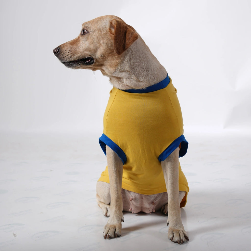 Thunder Tails PAWSOME HERO Adjustable Graphic T-shirt