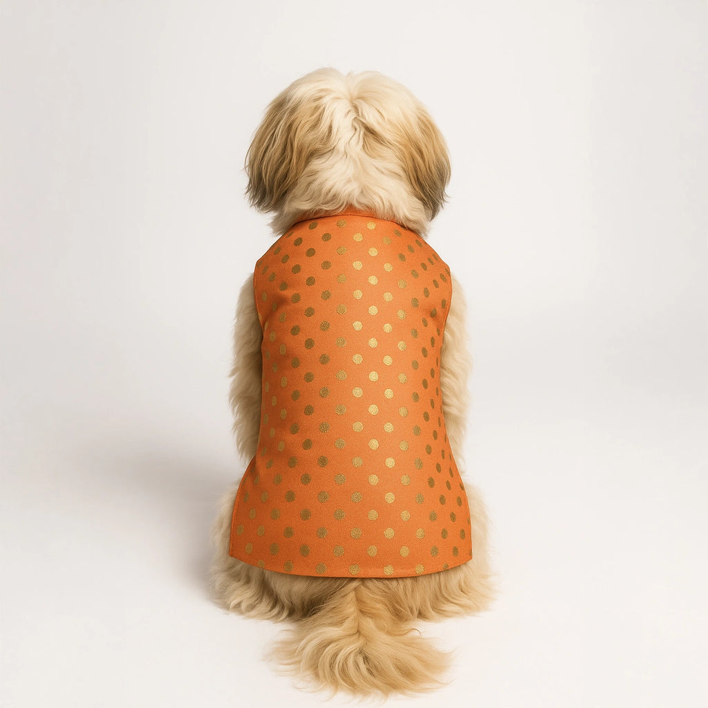 Thunder Tails Peach Polka Festive Sherwani