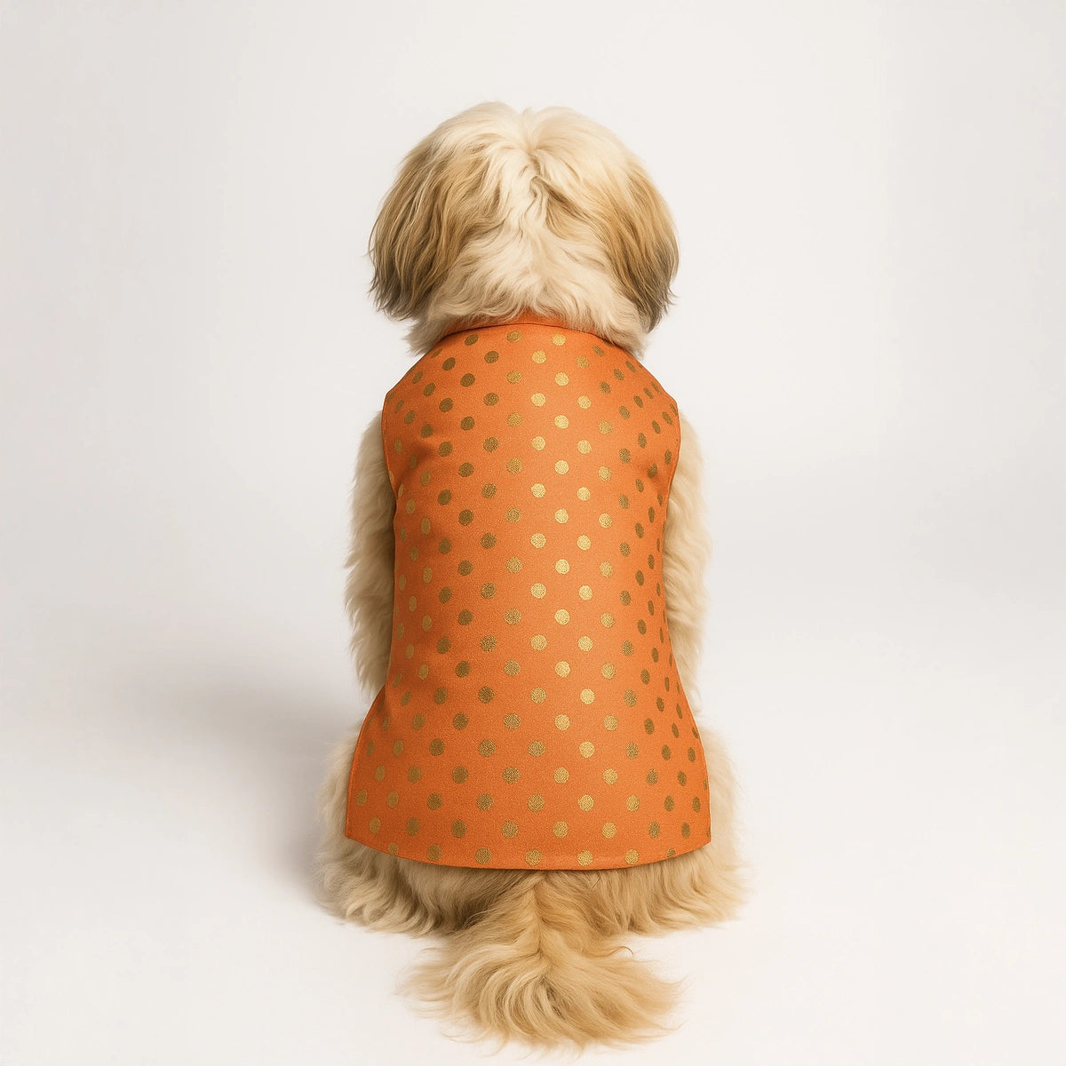 Thunder Tails Peach Polka Festive Sherwani
