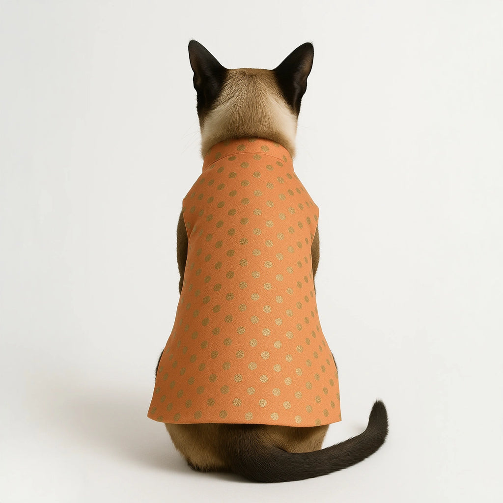 Thunder Tails Peach Polka Cat Festive Sherwani
