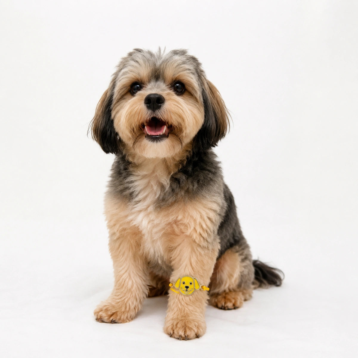 Thunder Tails Pet Tie Rakhi Cats - Yellow Dog Face