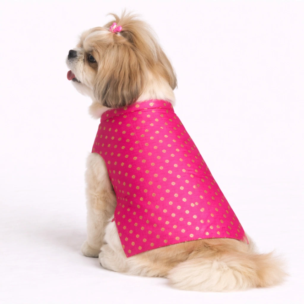 Thunder Tails Pink Polka Festive Sherwani