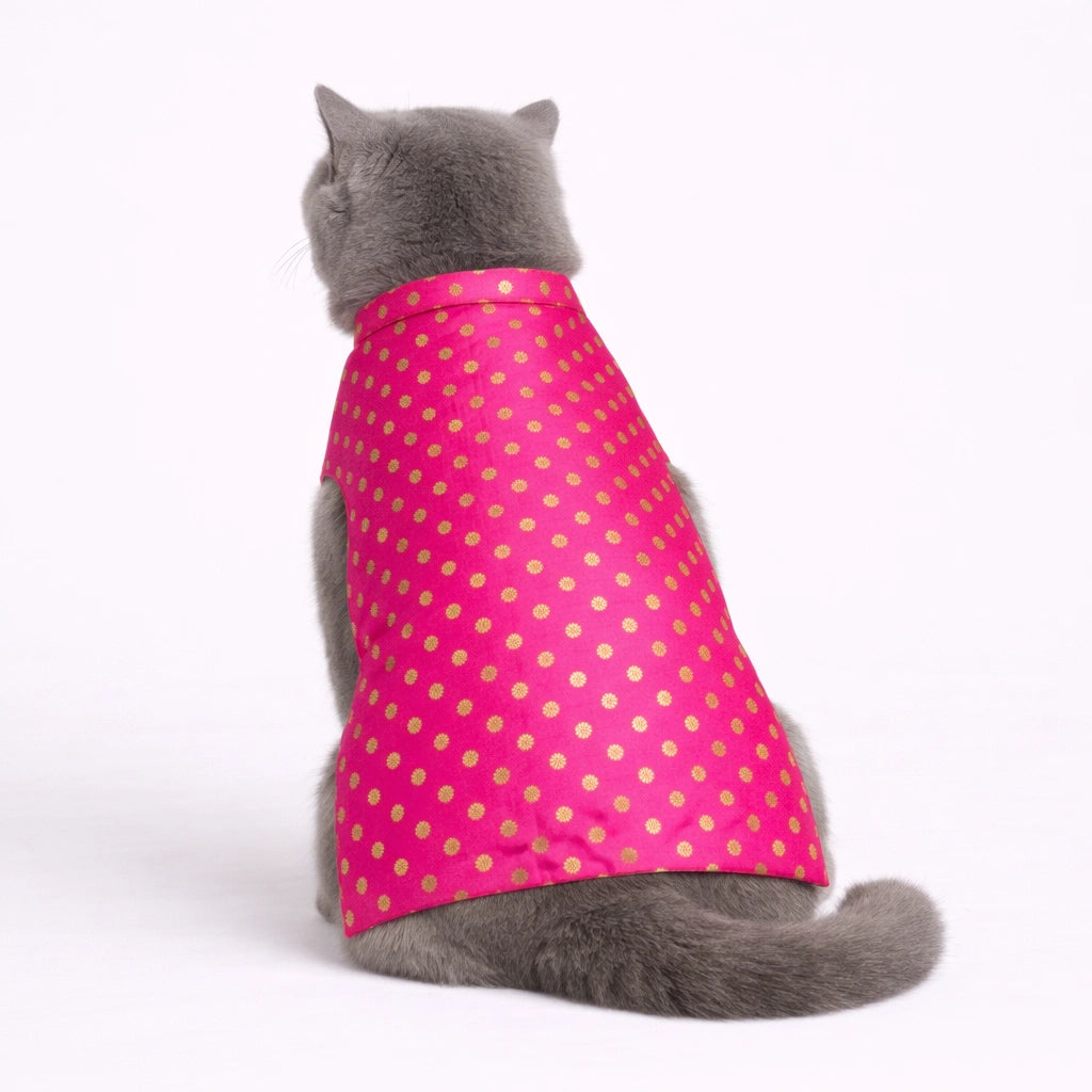 Thunder Tails Pink Polka Cat Festive Sherwani