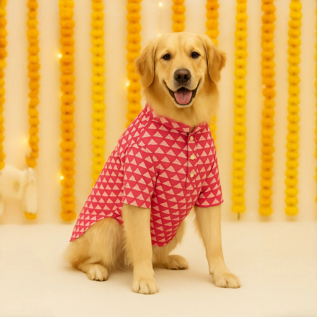 Thunder Tails Pink Festive Kurta