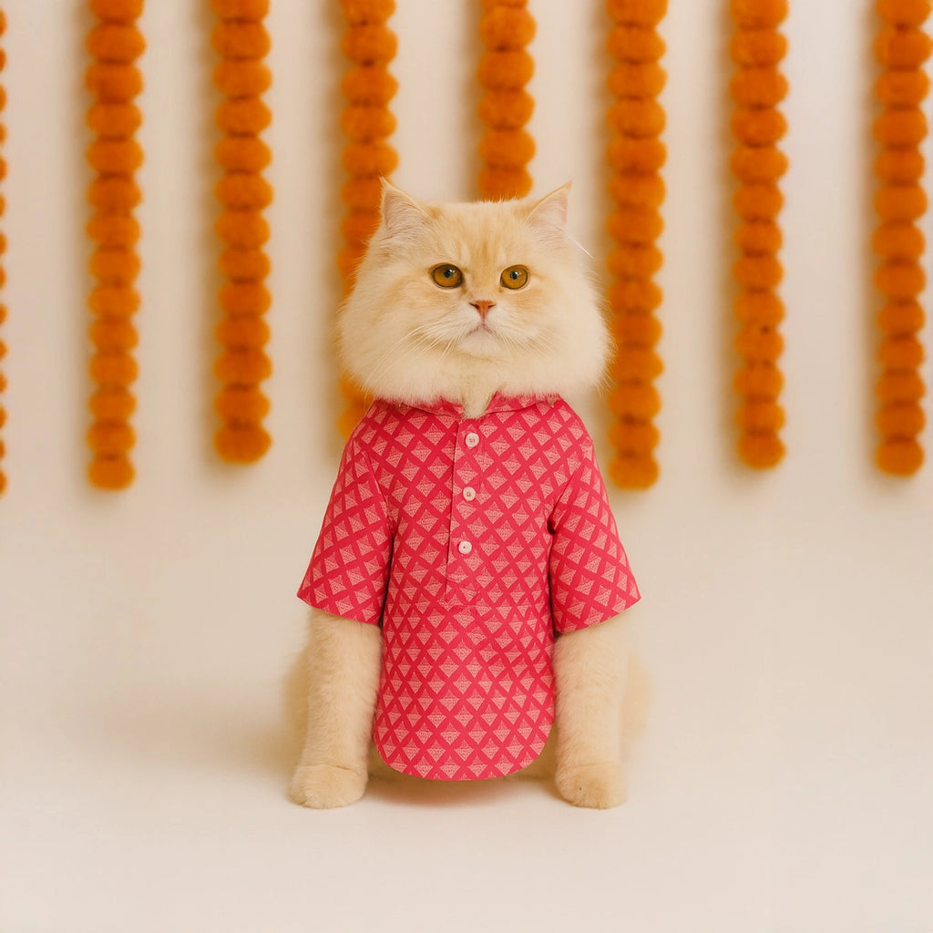 Thunder Tails Pink Triangle Cat Festive Kurta