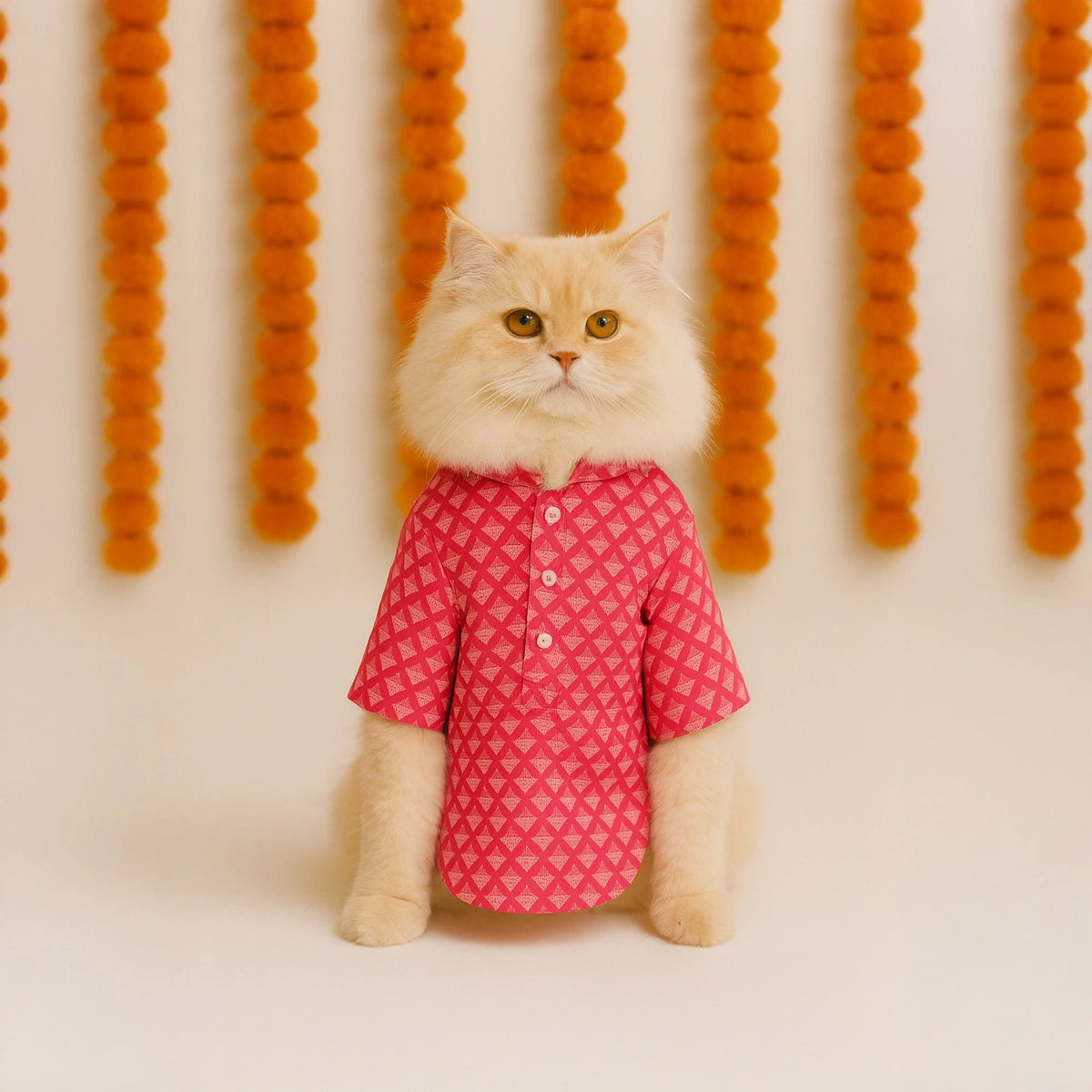 Thunder Tails Pink Triangle Cat Festive Kurta