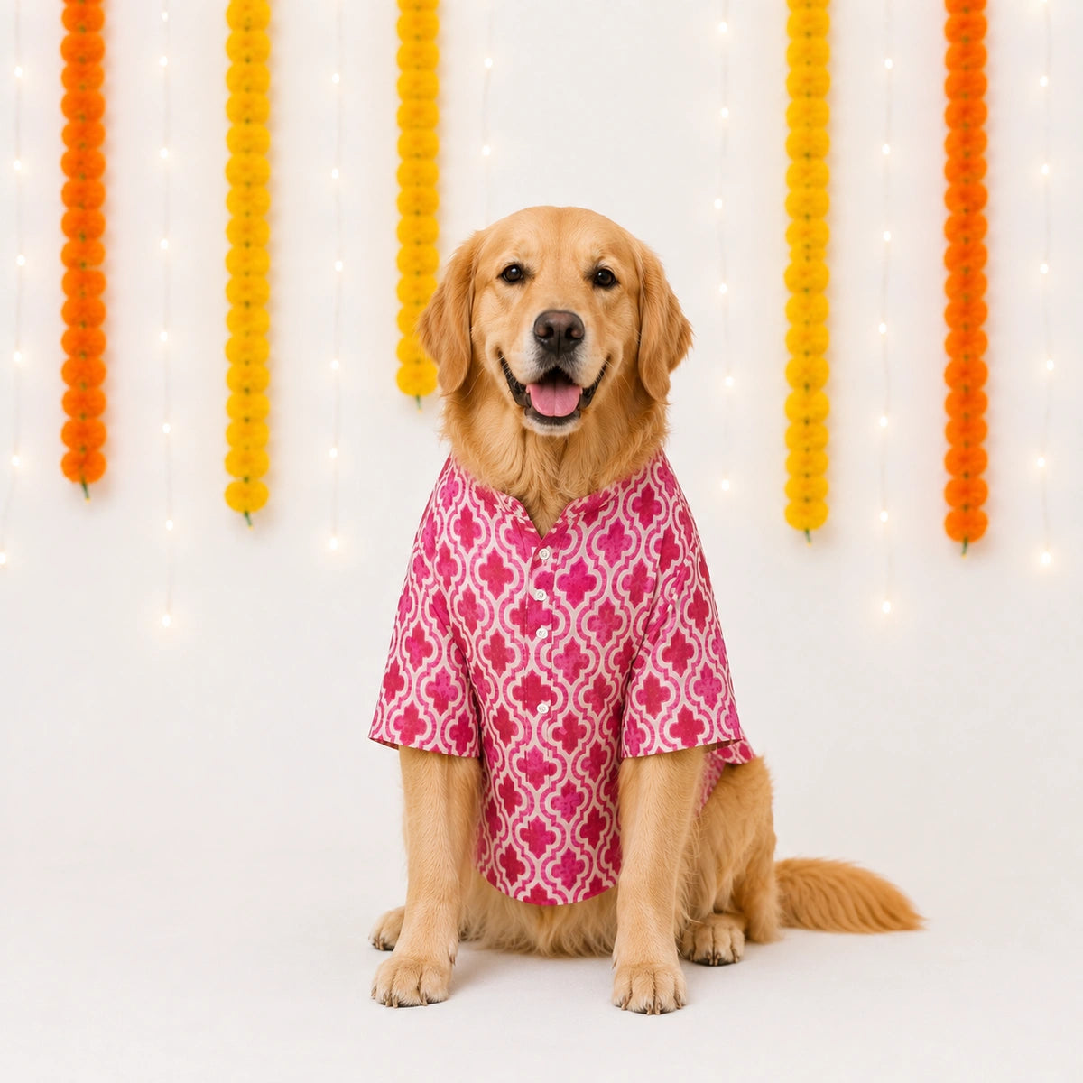 Thunder Tails Pink Festive Dog Kurta