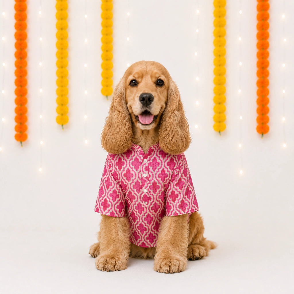 Thunder Tails Pink Festive Dog Kurta