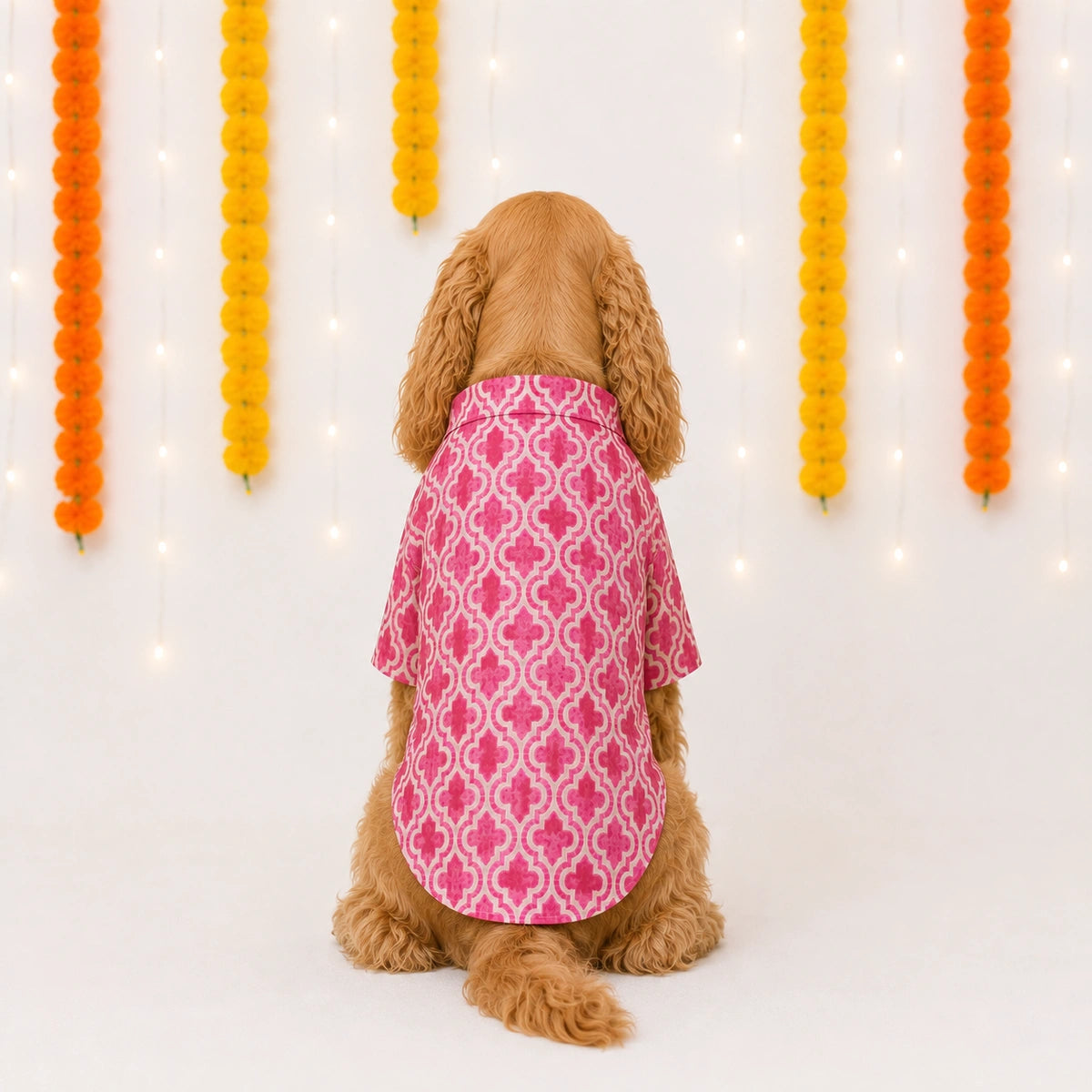 Thunder Tails Pink Festive Dog Kurta