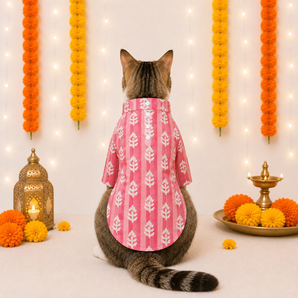 Thunder Tails Pink Stripes Cat Festive Kurta