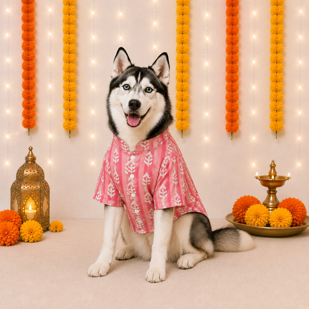 Thunder Tails Pink Stripes Festive Dog Kurta