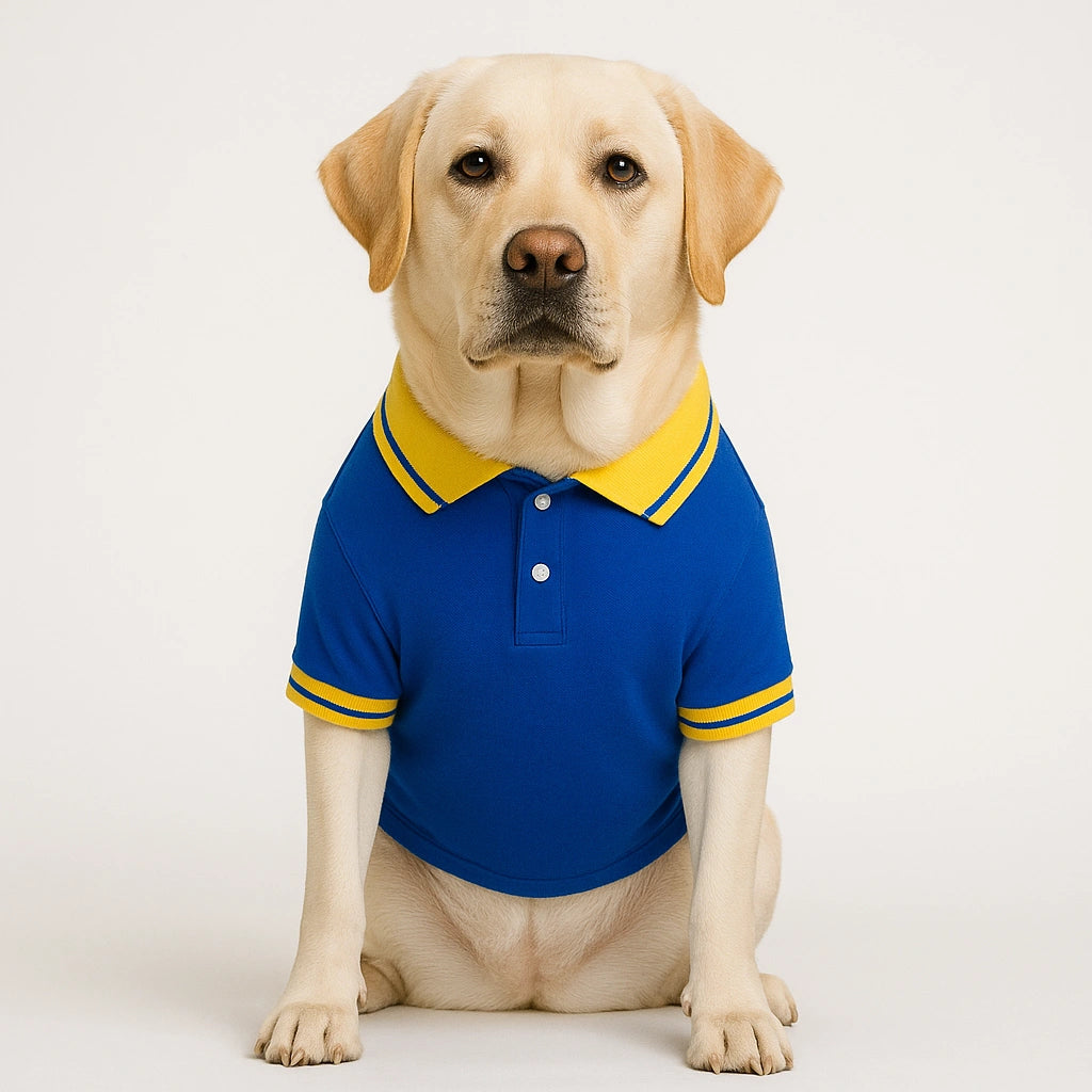 Thunder Tails Polo T-shirts -Royal/Yellow