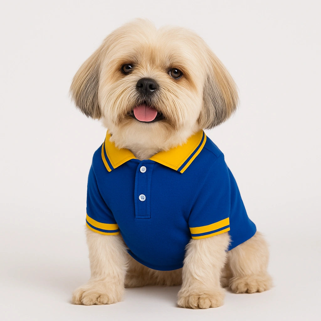 Thunder Tails Polo T-shirts -Royal/Yellow