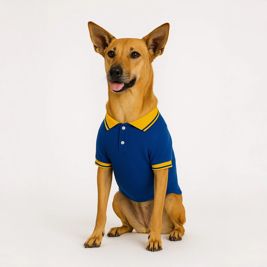 Thunder Tails Polo T-shirts -Royal/Yellow