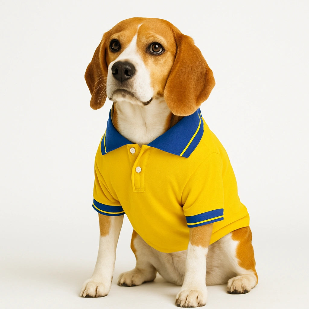 Thunder Tails Polo T-shirts -Yellow/Royal