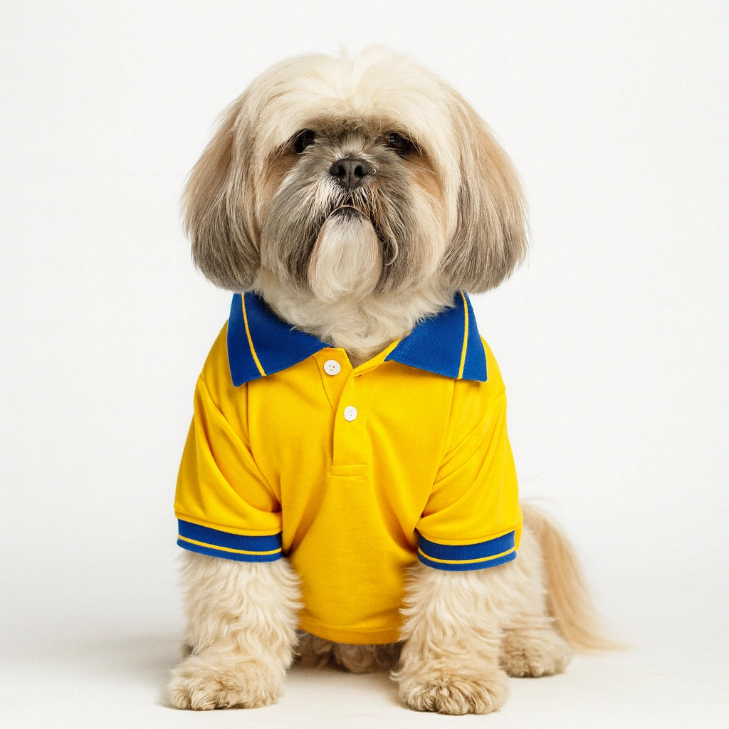 Thunder Tails Polo T-shirts -Yellow/Royal