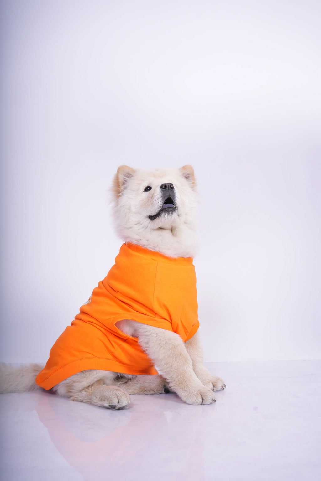 Thunder Tails PUP IN TRAINING Adjustable Graphic T-shirt